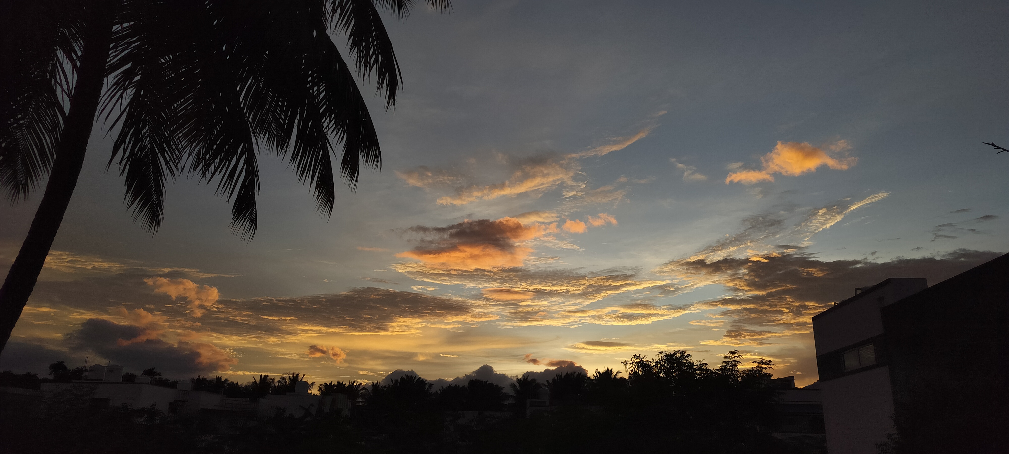 SUN SET